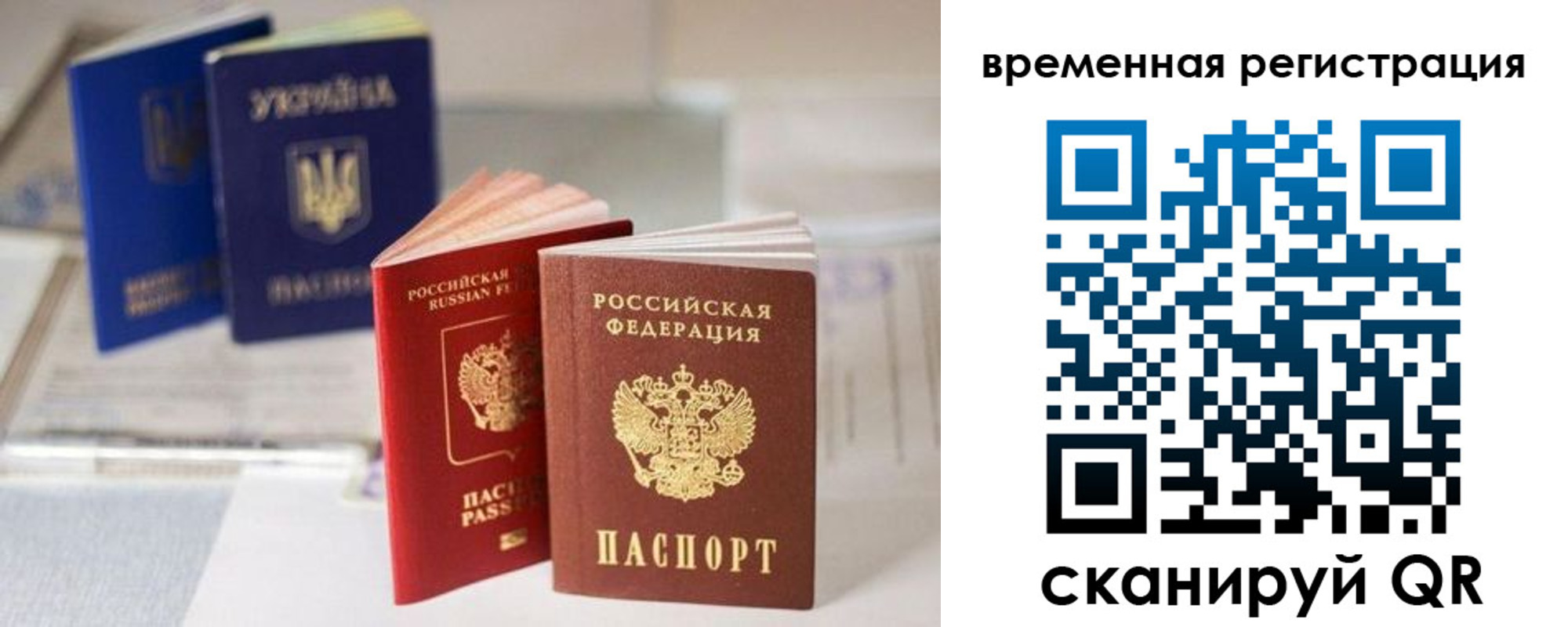 прописка поиск в Домодедово